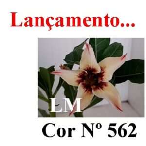 ENXERTO 5916 – 20cm