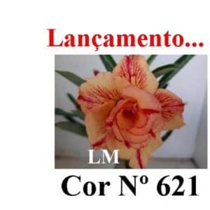 ENXERTO COR LM 621