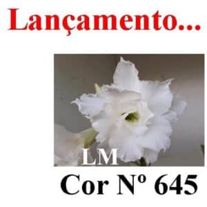 ENXERTO COR LM 645