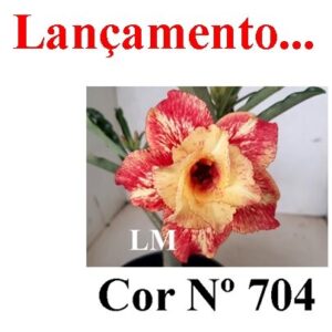 ENXERTO COR LM 704