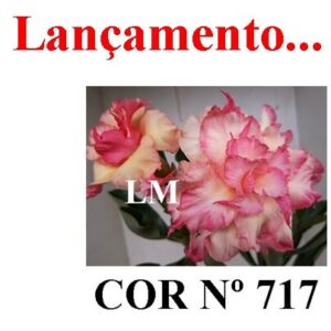 ENXERTO COR LM 717