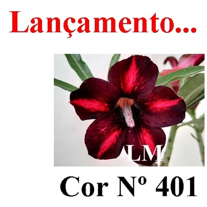 ENXERTO COR LM 401