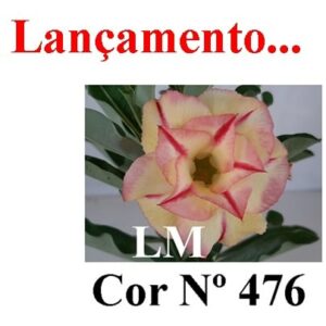 ENXERTO Nº 6014 – 22cm