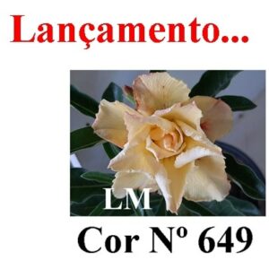 ENXERTO 6089 – 20cm  (cor LM 649)