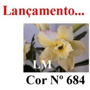 ENXERTO 6136 – 20cm  (cor LM 684)