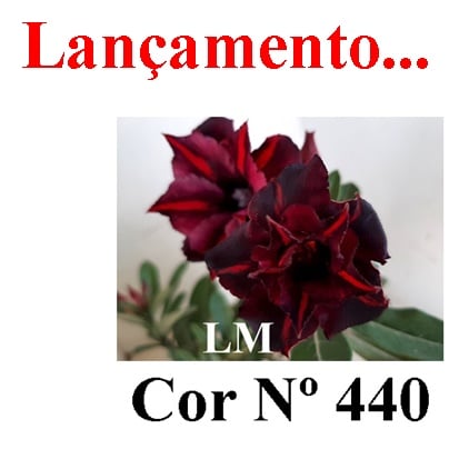 ENXERTO COR LM 440