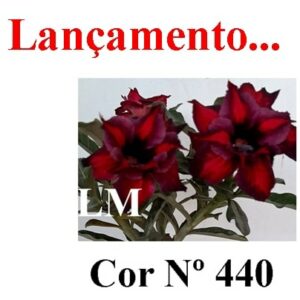 ENXERTO 6275 – 20cm