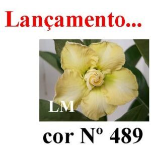 ENXERTO 6343 – 20cm  (cor LM 489)