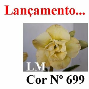 ENXERTO 6277 – 20cm  (cor LM 699)