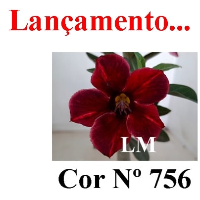 ENXERTO 6330 – 20cm  (cor LM 756)