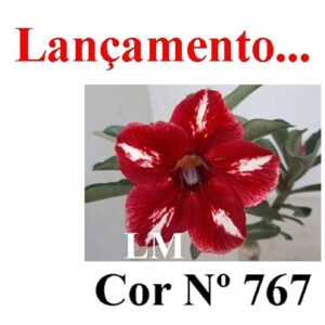ENXERTO 6296 – 20cm