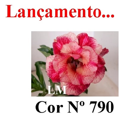 ENXERTO COR LM 790