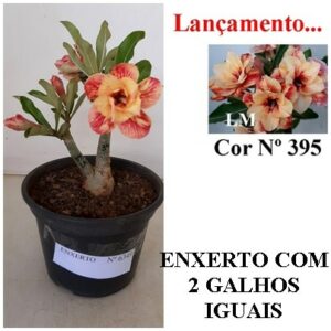 ENXERTO 6349 – 20cm  (cor LM 395)