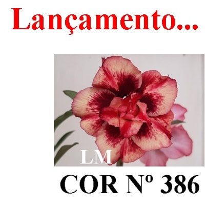 ENXERTO COR LM 386