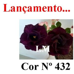 ENXERTO 6500 – 22cm (cor LM 432)