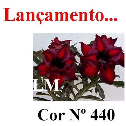 ENXERTO 6431 – 20cm
