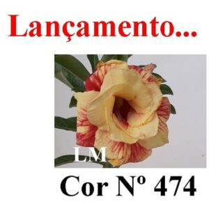 ENXERTO 6490 – 20cm (cor LM 474)