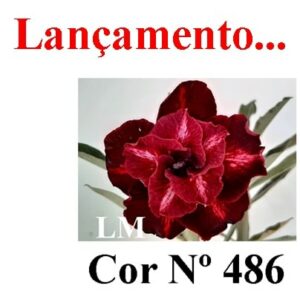 ENXERTO 6464 – 20cm (cor LM 486)
