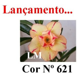 ENXERTO 6418 – 20cm  (cor LM 621)