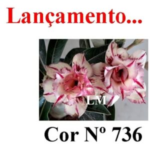 ENXERTO 6455 – 20cm  (cor LM 736)