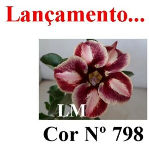 ENXERTO 6393 – 20cm