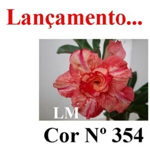 ENXERTO 6519 – 20cm (cor LM 354)
