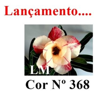 ENXERTO 6577 – 25cm