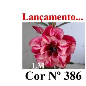 ENXERTO COR LM 386