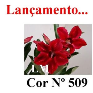ENXERTO 6530 – 25cm (cor LM 509)