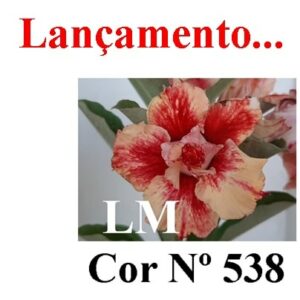 ENXERTO 6588 – 22cm (cor  LM 538)