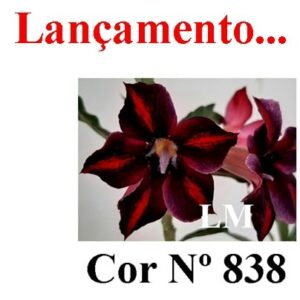 ENXERTO 6549 – 20cm (cor LM 838)