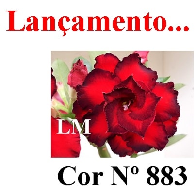 ENXERTO COR LM 883