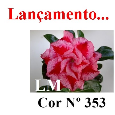ENXERTO 6785 – 20cm (cor LM 353)