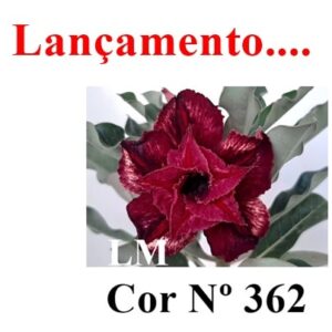 Enxerto 6673 - 20cm (cor LM 362)
