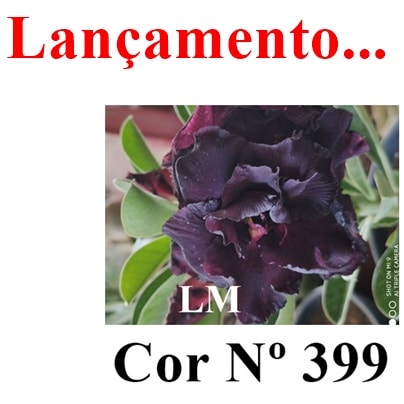 ENXERTO COR LM 399