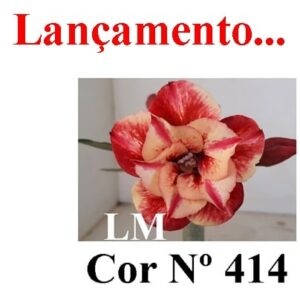Enxerto 6679 - 20cm (cor LM 414)