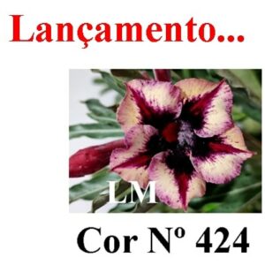 Enxerto 6662 - 20cm (cor LM 424)
