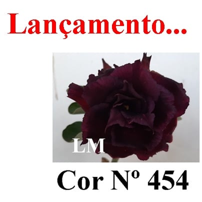 ENXERTO COR LM 454