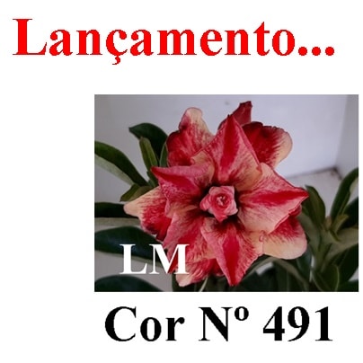 ENXERTO 6703 – 22cm (cor LM 491)