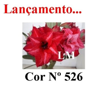 ENXERTO 6754 – 20cm (cor LM 526)