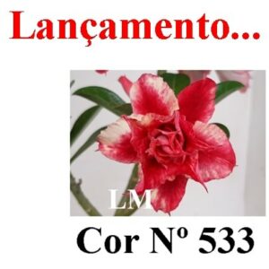 Enxerto 6656 - 25cm (cor LM 533)
