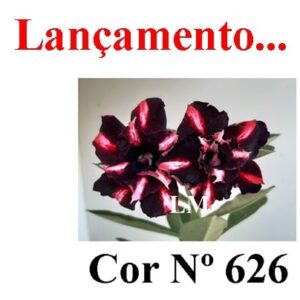 ENXERTO 6723 – 20cm (cor LM 626)