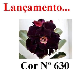 ENXERTO 6762 – 22cm (cor LM 630)
