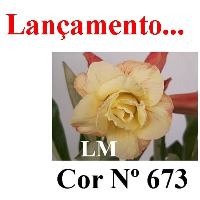 Enxerto 6657 - 25cm (cor LM 673)