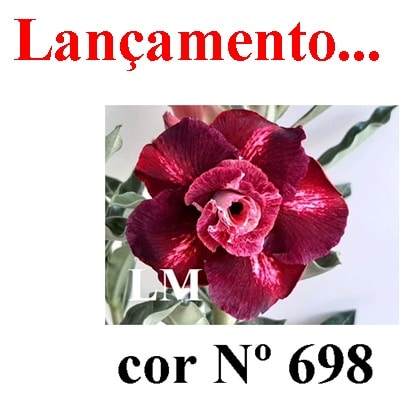 Enxerto 6675 - 20cm (cor LM 698)