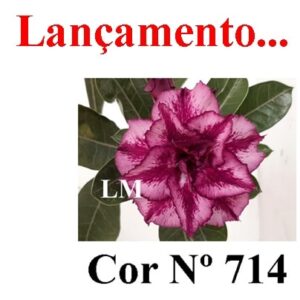 Enxerto 6688 – 20cm (cor LM 714)