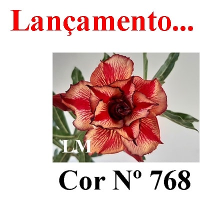 ENXERTO COR LM 768