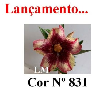 ENXERTO 6734 – 20cm (cor LM 831)