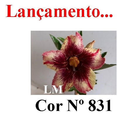 ENXERTO 6747 – 20cm (cor LM 831)