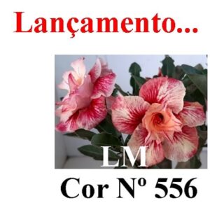 ENXERTO 6915 – 20cm (cor LM 556)